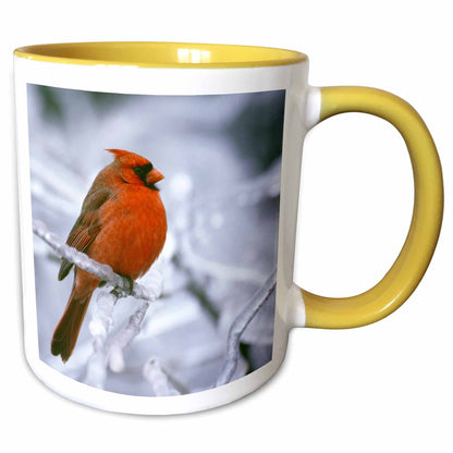 3dRose Quebec. Male northern cardinal bird, ice storm-CN10 BJA0019 - Janyes... - Mugs (mug_70449)