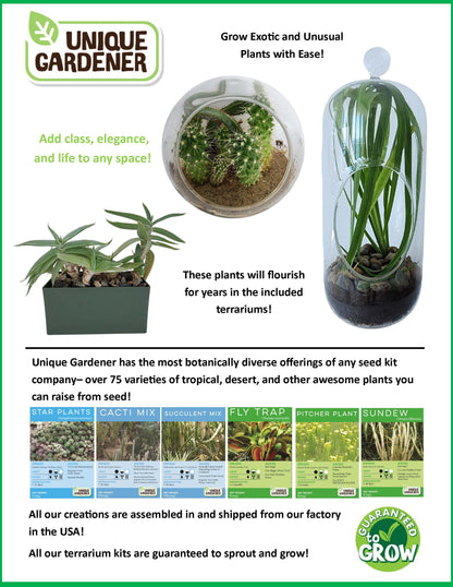 Wildflower Blooms Glass Terrarium Seed Starting Kit