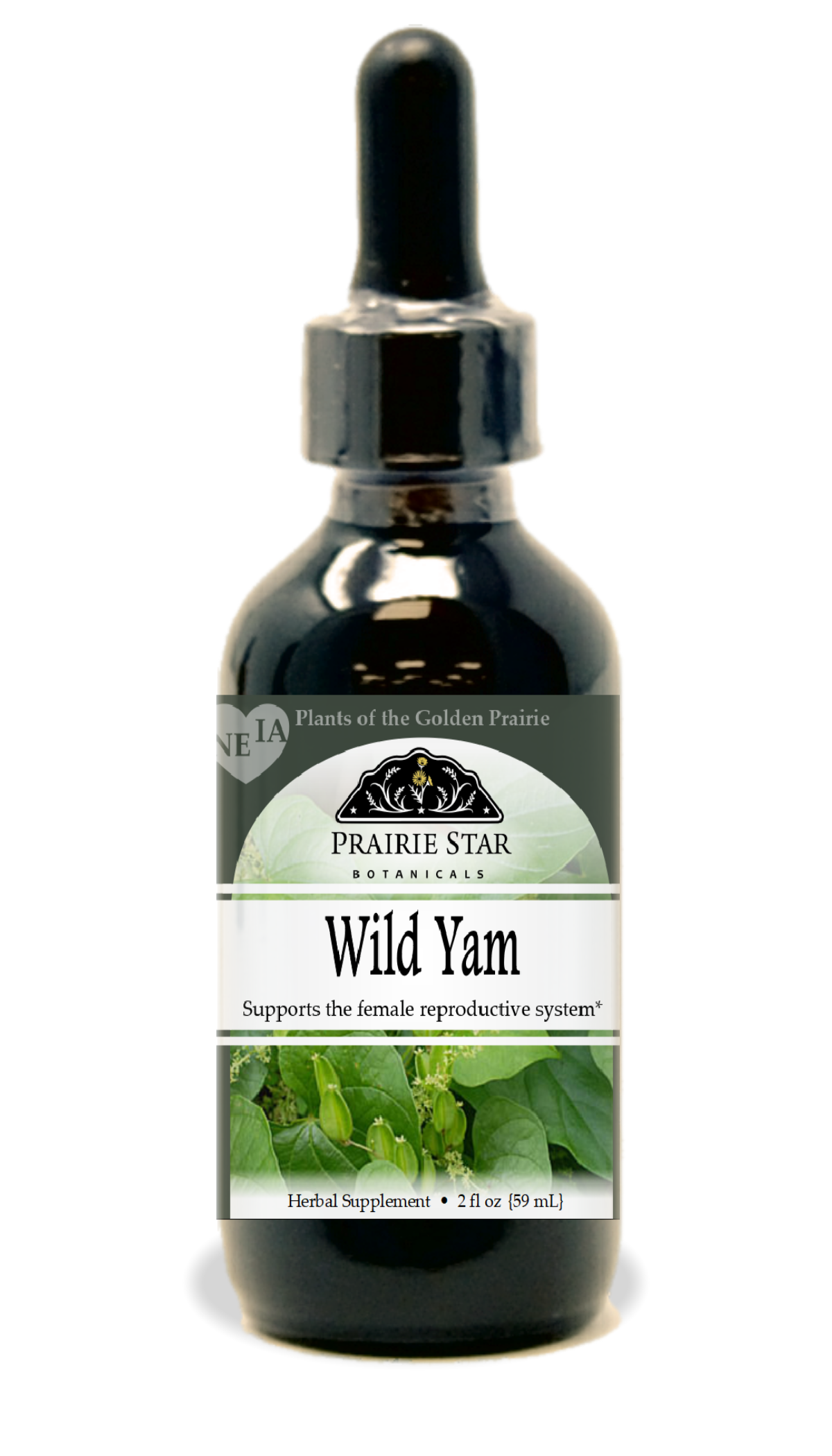 Wild Yam