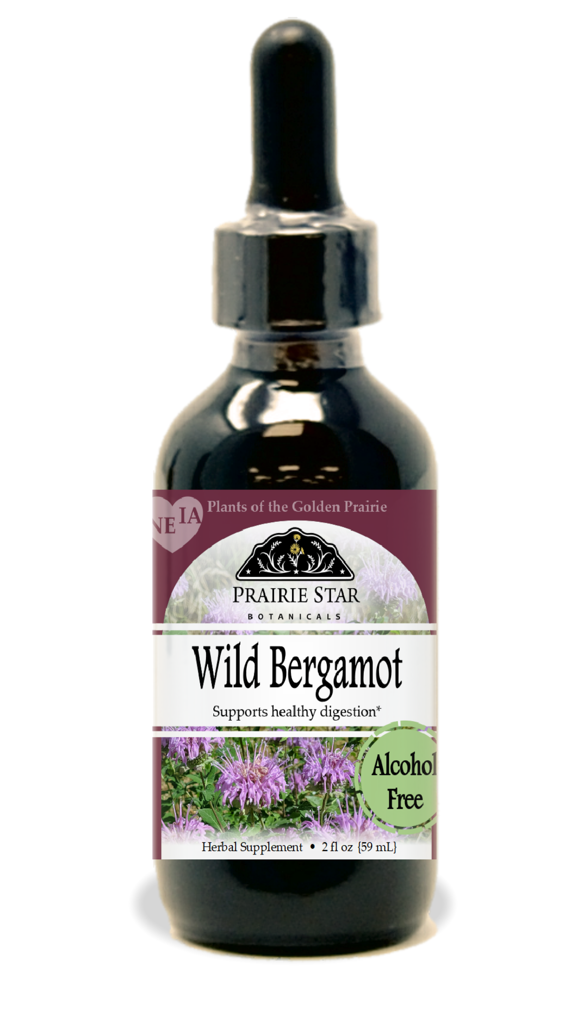 Wild Bergamot