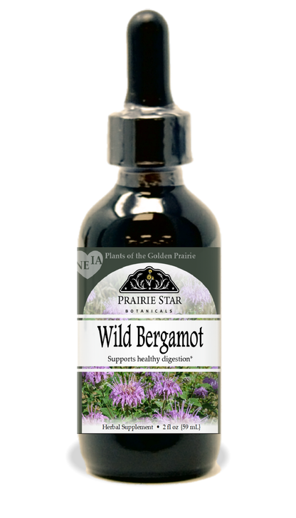 Wild Bergamot