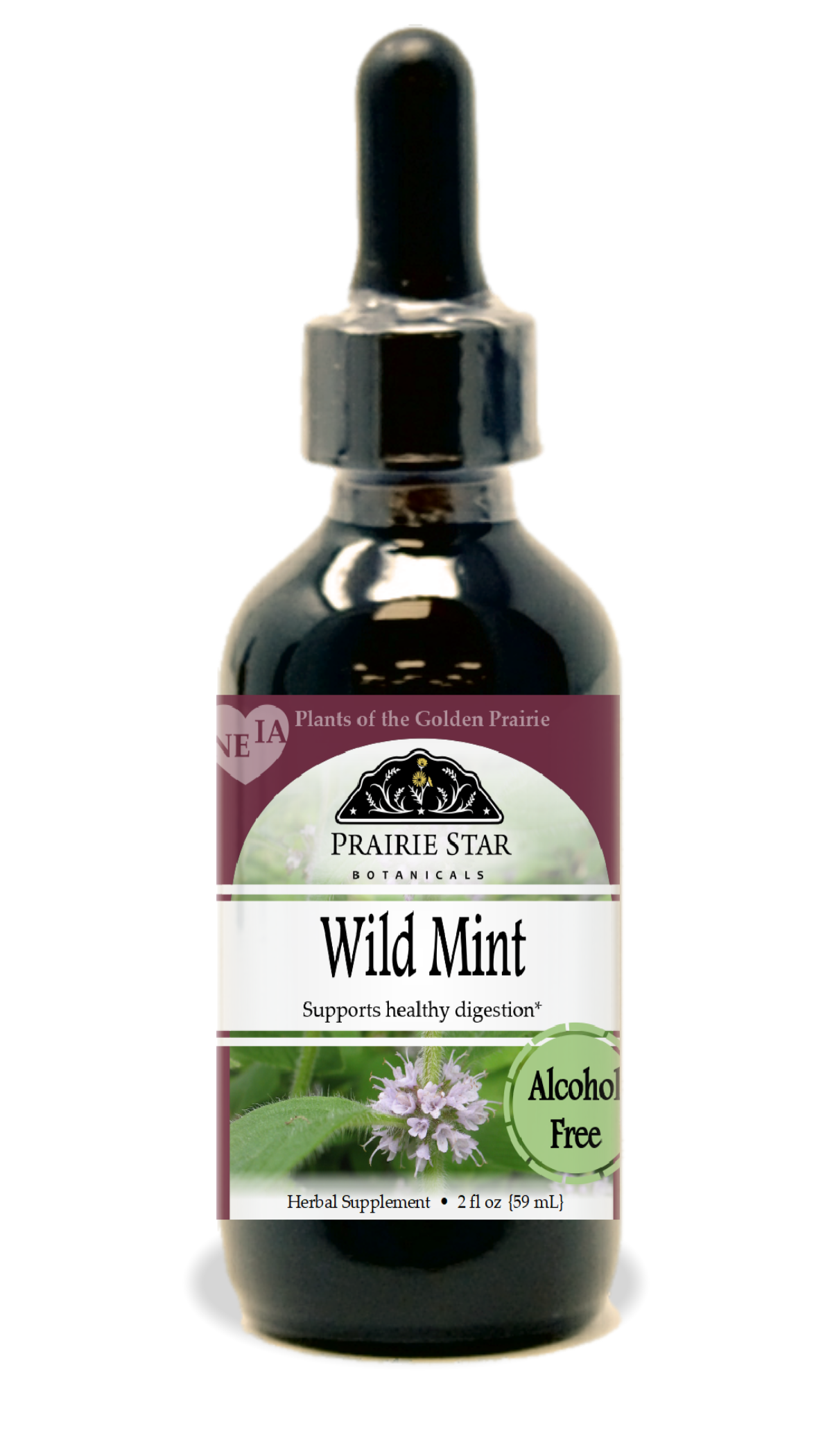 Wild Mint