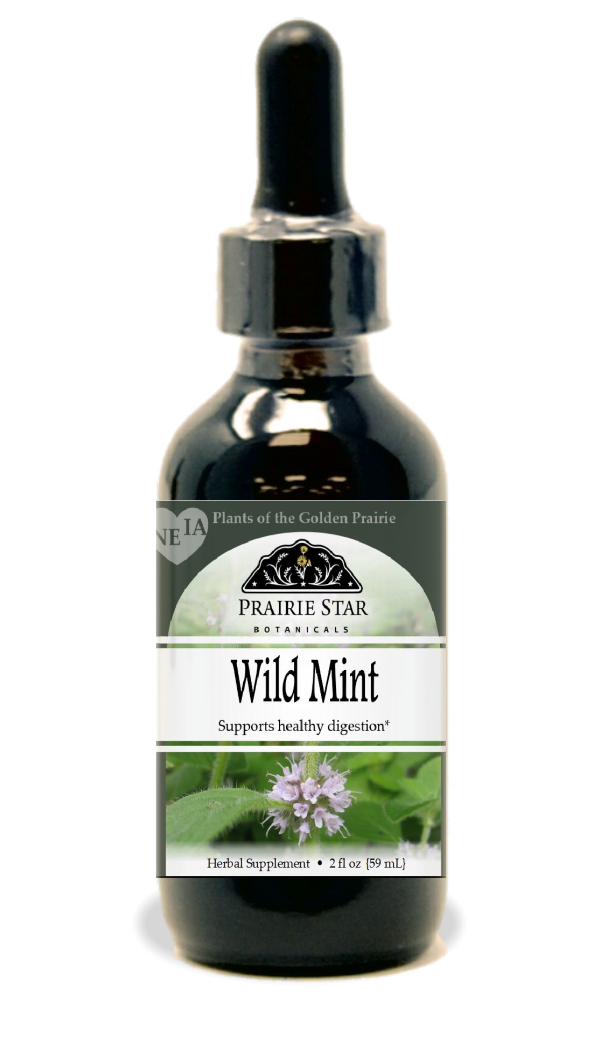 Wild Mint