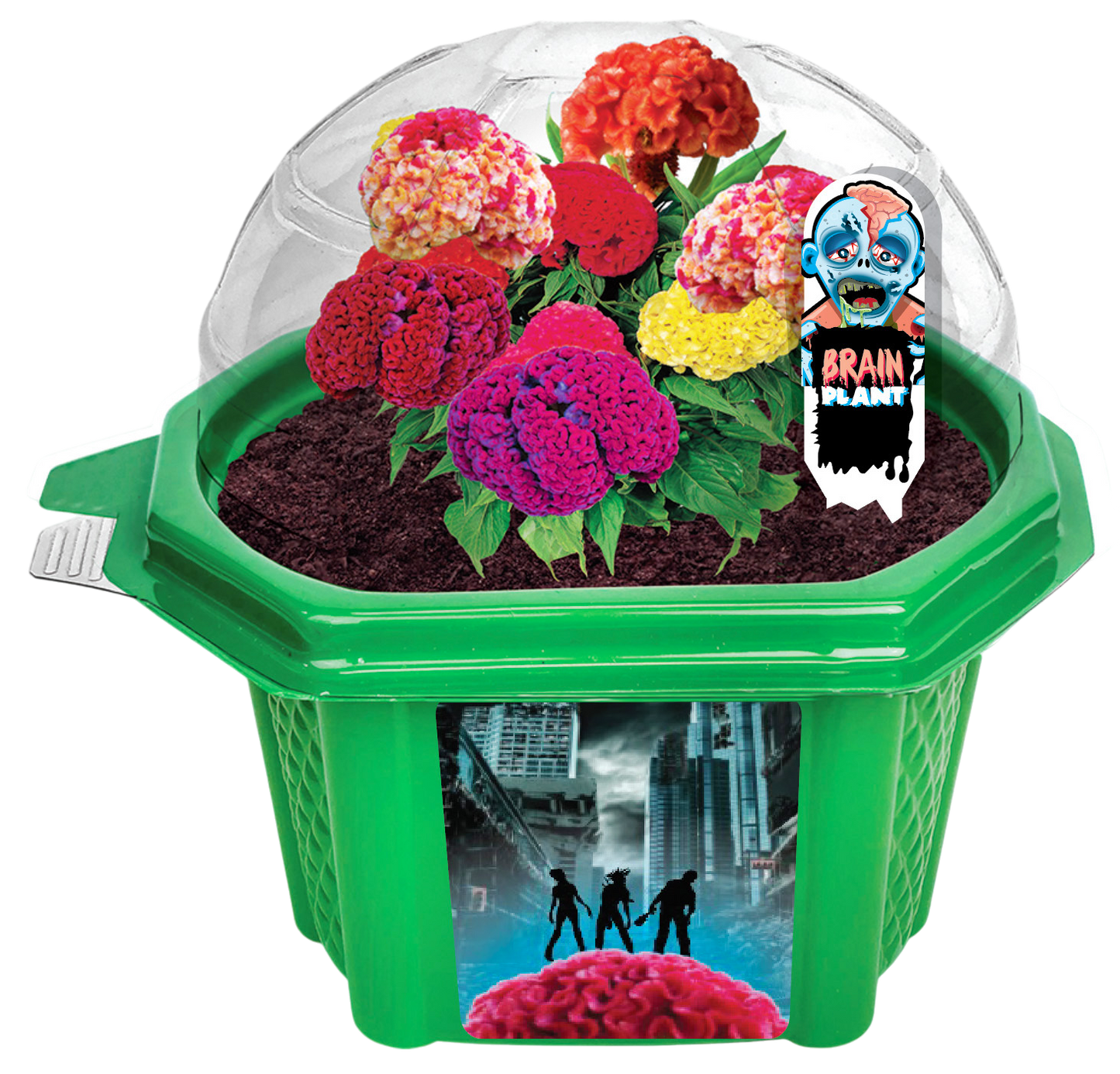 Zombie Brains Themed Micro Dome Terrarium