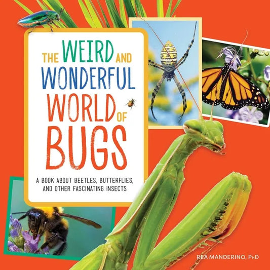 The Weird and Wonderful World of Bugs: A Book about Beetles, Butterflies, and Other Fascinating Insects - Paperback