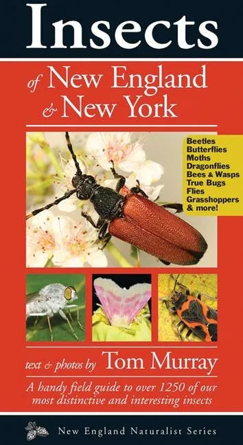 Insects of New England & New York - Paperback