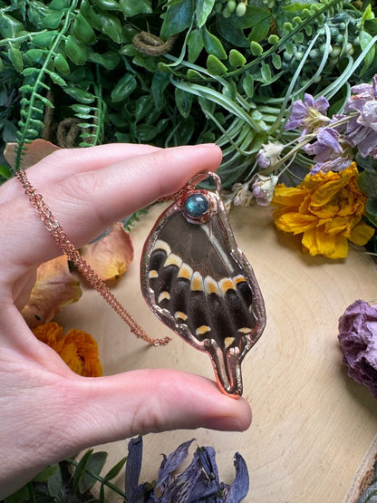 Labradorite and Swallowtail Butterfly Wing Necklace