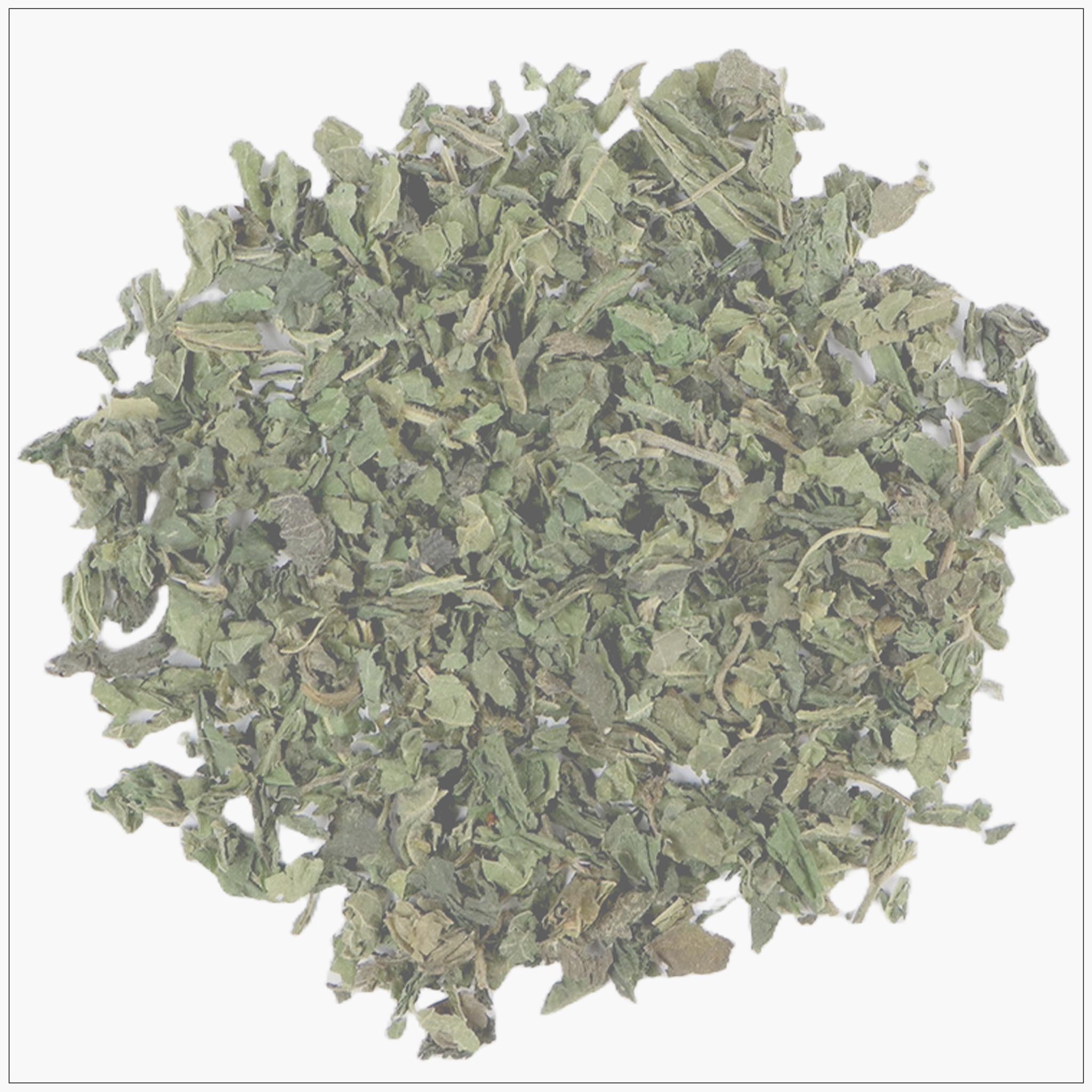 Nettle Leaf – EastMichNatives Nature Store