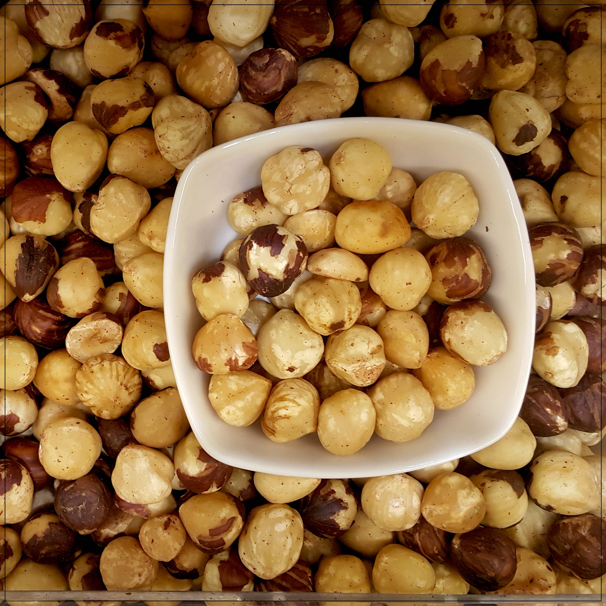 Roasted Unsalted Hazelnuts – EastMichNatives Nature Store