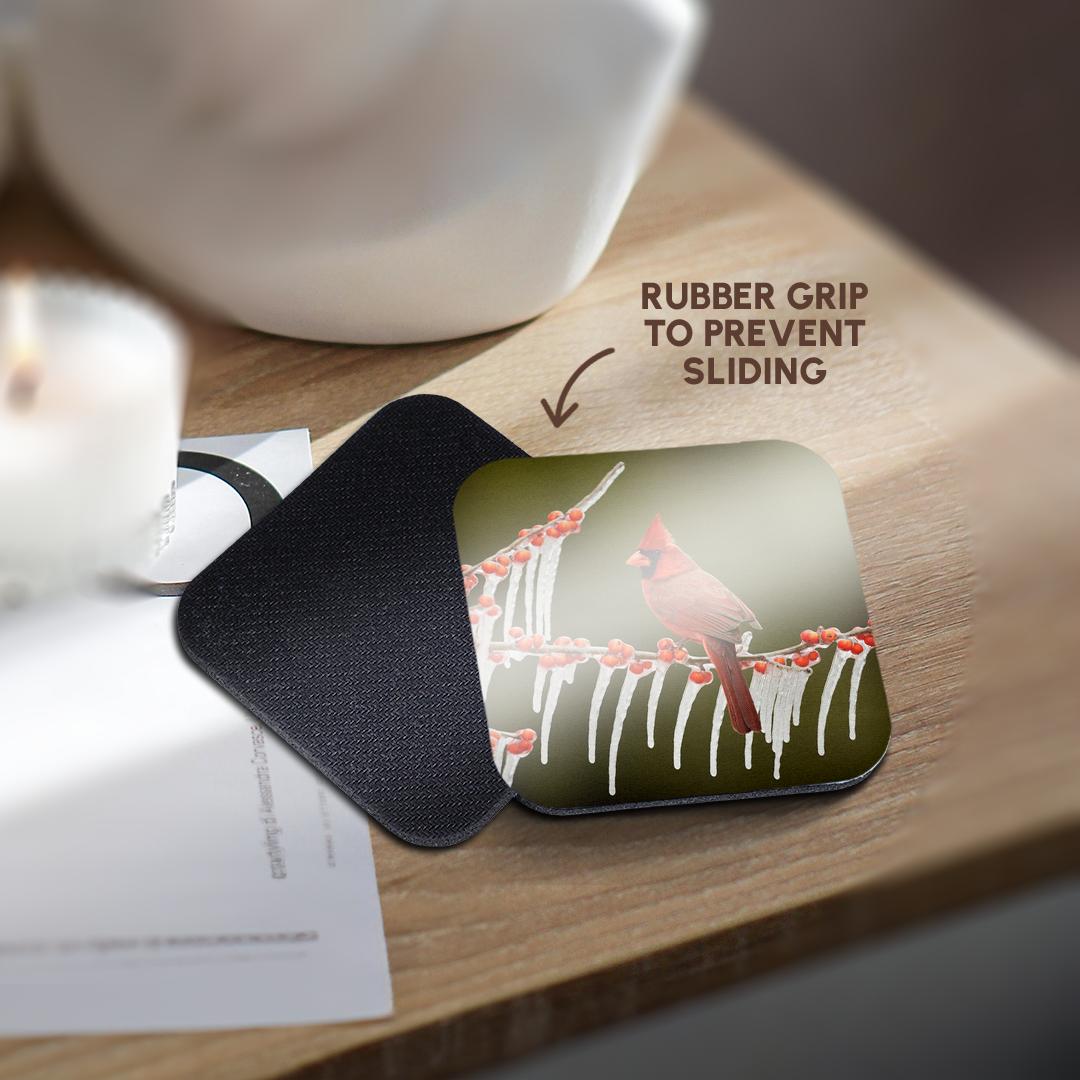 3dRose Danita Delimont - Songbirds - Northern Cardinal on ICY Branch of Holly, Hill Country, Texas - Coasters