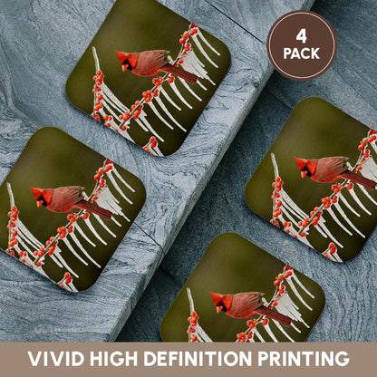 3dRose Danita Delimont - Songbirds - Northern Cardinal on ICY Branch of Holly, Hill Country, Texas - Coasters
