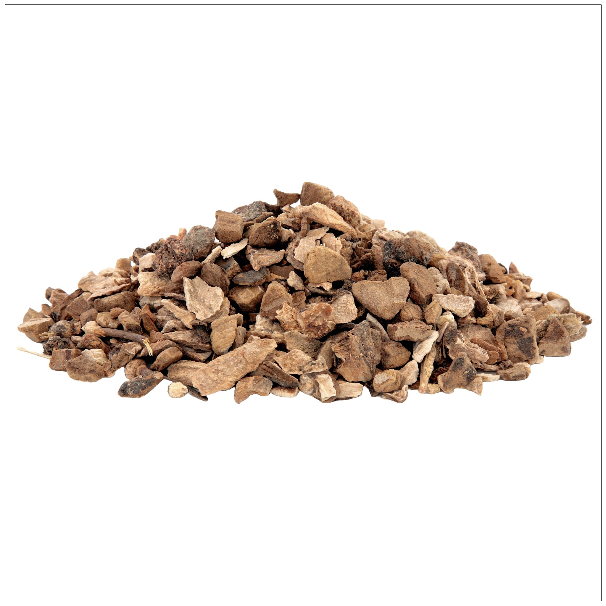 Wild Yam Root – EastMichNatives Nature Store